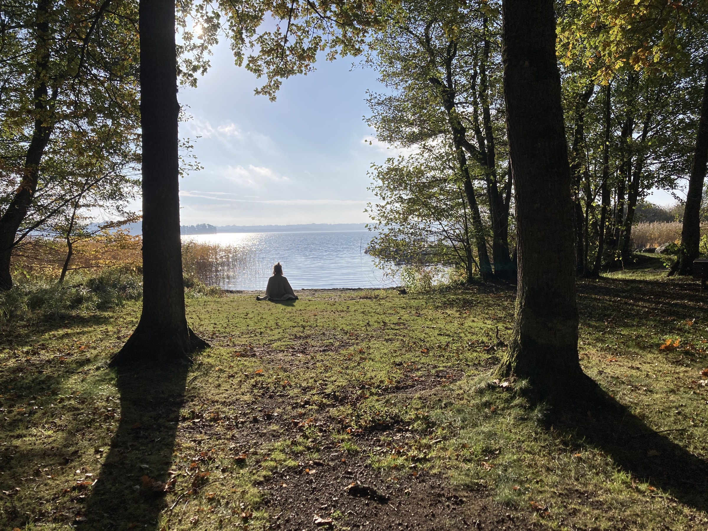 Cozy forest clearing by a lake